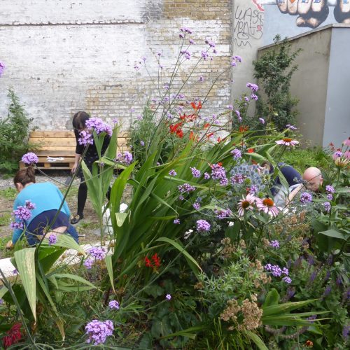 Jardin Dublin